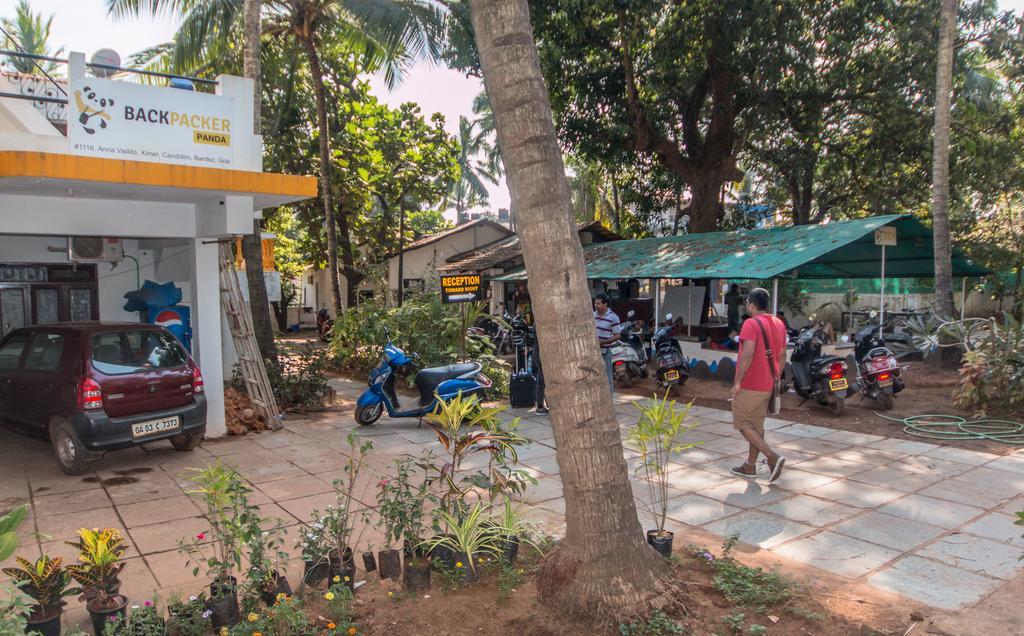 Backpacker Panda Goa Hostel Calangute Exterior photo